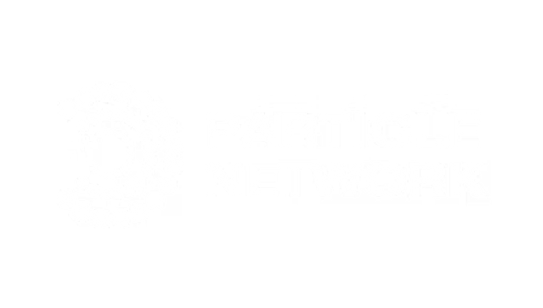 Particle Network